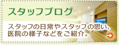 スタッフブログ